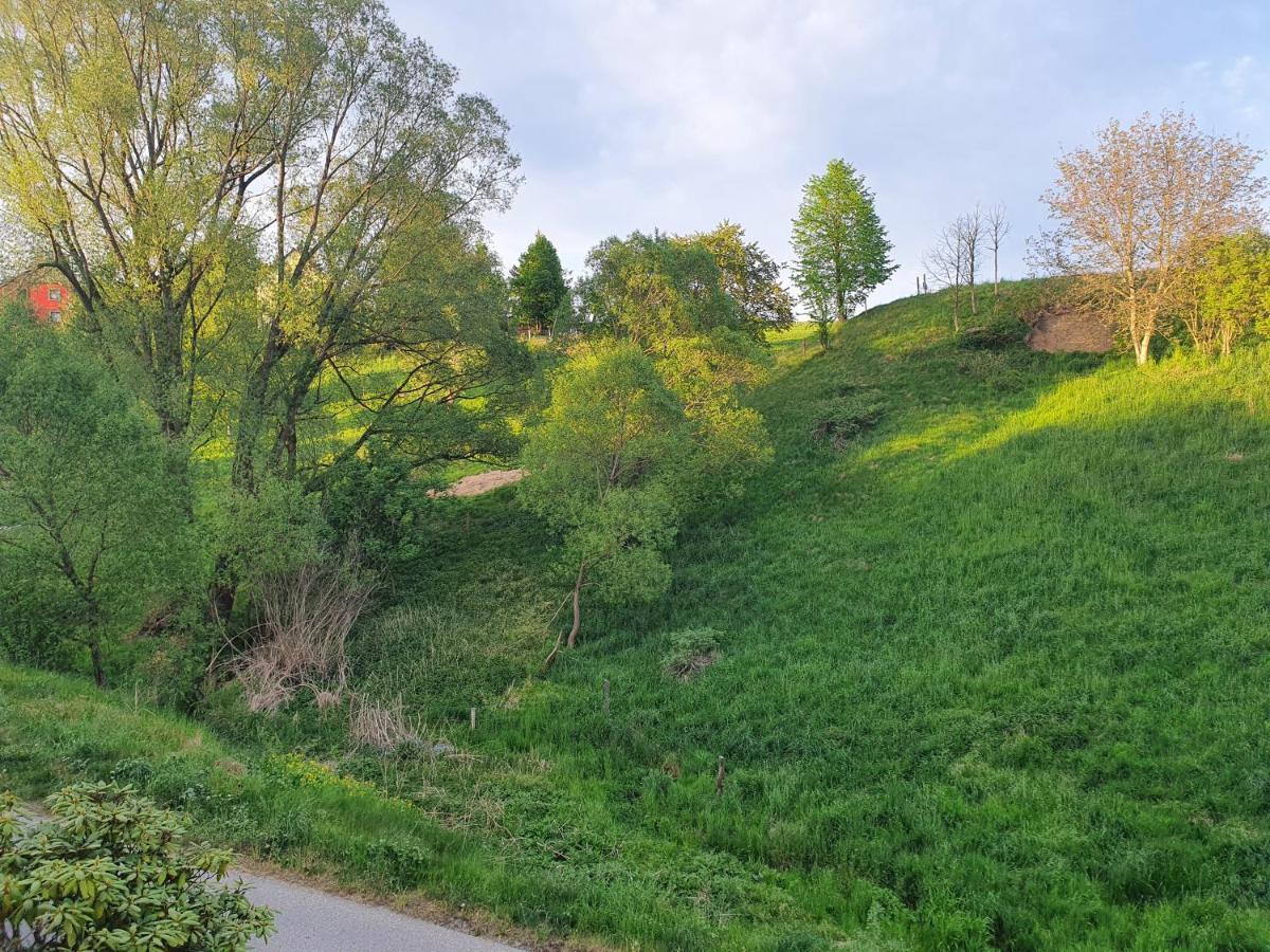 Fewo-Hierundjetzt Lichtenhain Bei Sebnitz Am Malerweg Buitenkant foto